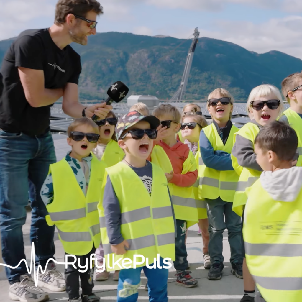 Ryfylkepuls